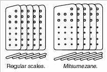 Comparison between regular kozane and mitsume-zane 