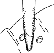 Opening holes in nuinobe do